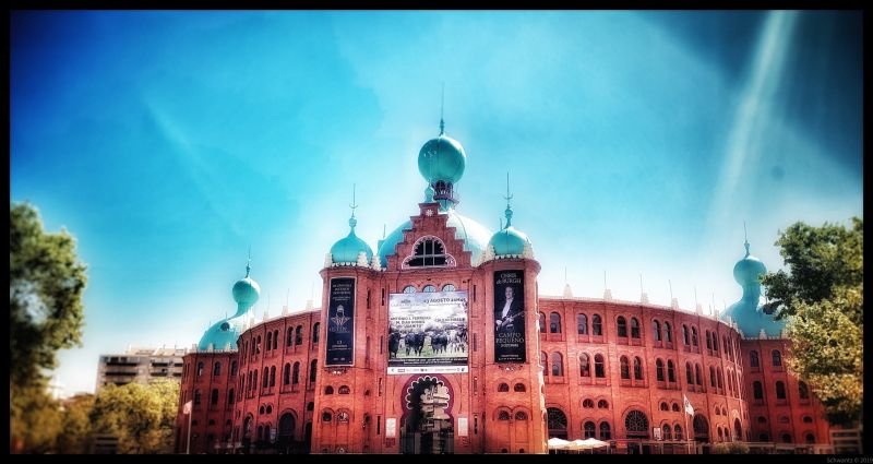 campo pequeno