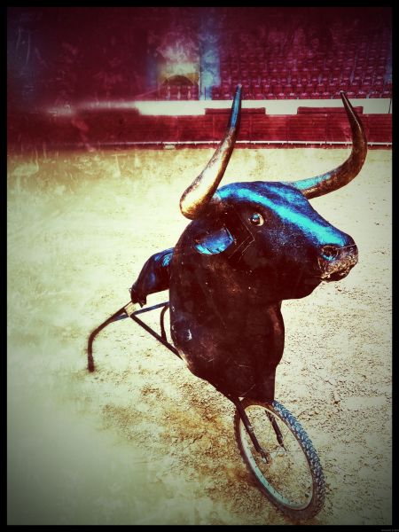 red bullring