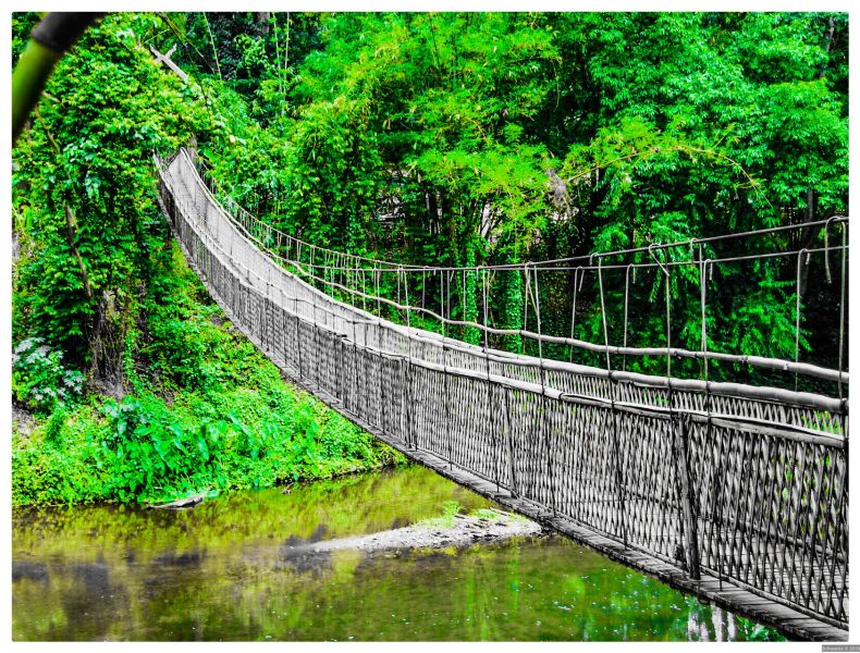 rope bridge